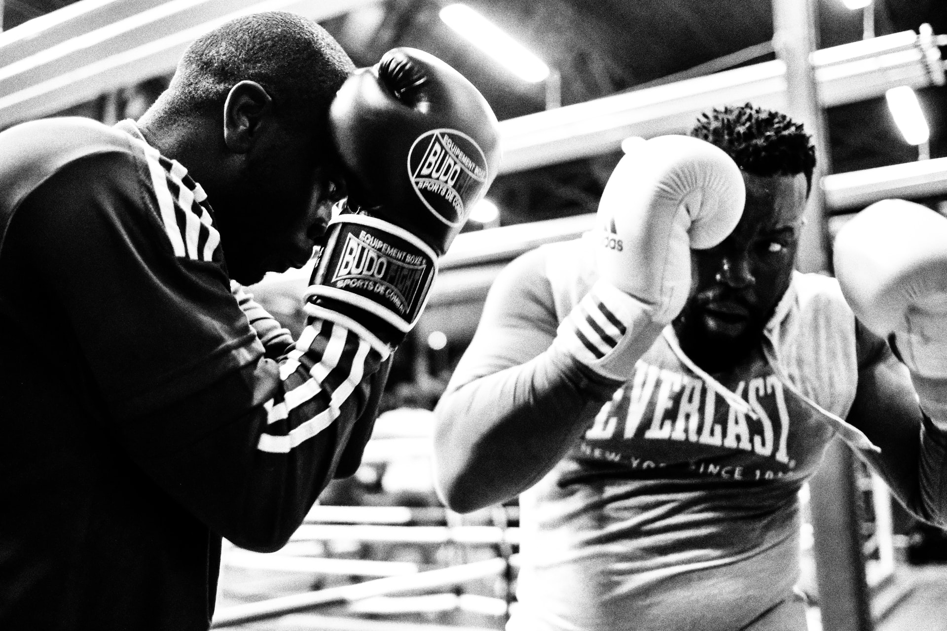 Difficulty To Be a Boxer: 9 Steps For Beginner To Go Pro